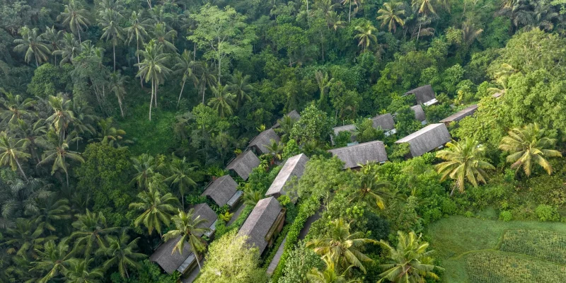 Private pool villa in Ubud surrounded by nature – Hideaway Villas Bali Ubud